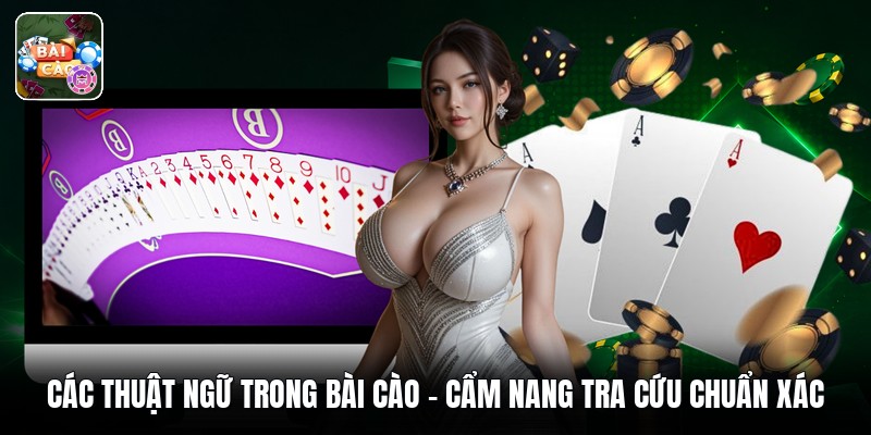 Các Thuật Ngữ Trong Bài Cào - Cẩm Nang Tra Cứu Chuẩn Xác