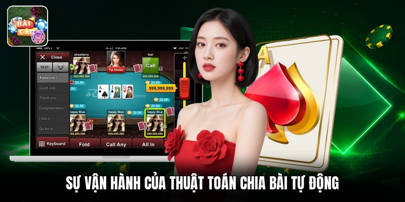 Sự vận hành của thuật toán chia bài tự động